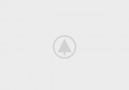 Wood-Gallery-Placeholder Wood-Gallery-Placeholder