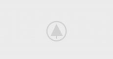 Wood-Gallery-Placeholder-5 Wood-Gallery-Placeholder-5