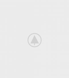 Wood-Gallery-Placeholder-5