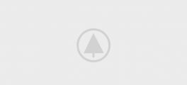 Home Alternative-Energy 1 Wood Gallery Placeholder 5