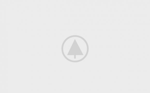 Wood-Gallery-Placeholder-5 Wood-Gallery-Placeholder-5