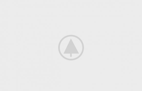 Wood-Gallery-Placeholder-5 Wood-Gallery-Placeholder-5