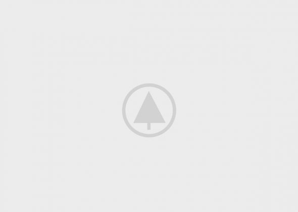 Wood-Gallery-Placeholder-5 Wood-Gallery-Placeholder-5