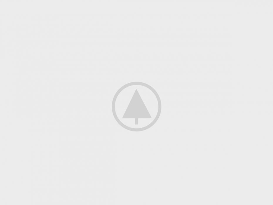 Home Landing-Gadget 1 Wood Gallery Placeholder 5