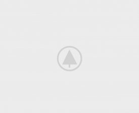 Wood-Portfolio-Placeholder Wood-Portfolio-Placeholder