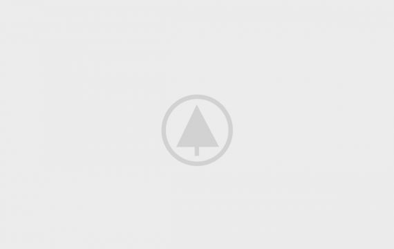Wood-Portfolio-Placeholder Wood-Portfolio-Placeholder