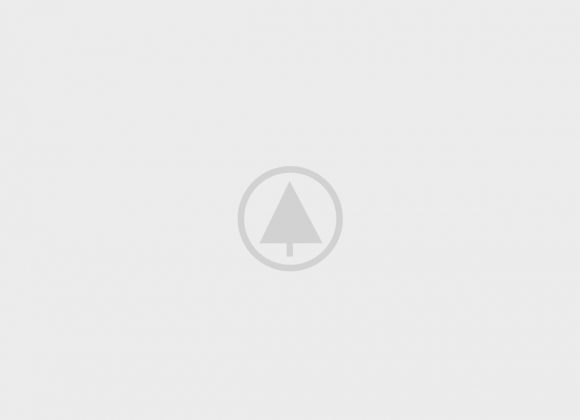 Home Sport 10 Wood Portfolio Placeholder