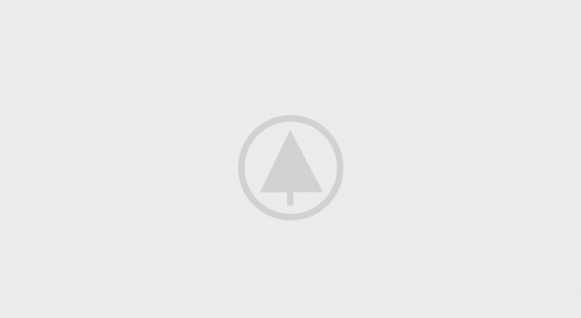 Home Sport 23 Wood Portfolio Placeholder