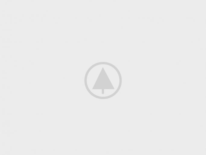 Wood-Portfolio-Placeholder Wood-Portfolio-Placeholder