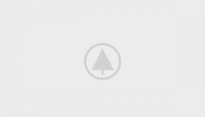 Wood-Portfolio-Placeholder Wood-Portfolio-Placeholder