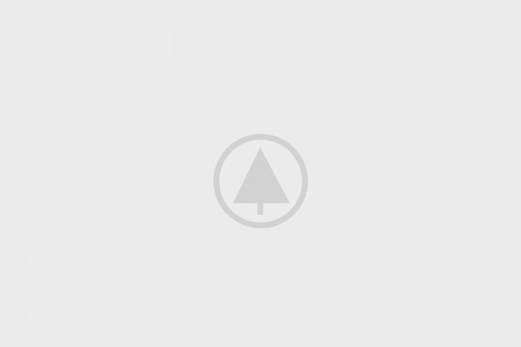 Wood-Portfolio-Placeholder Wood-Portfolio-Placeholder