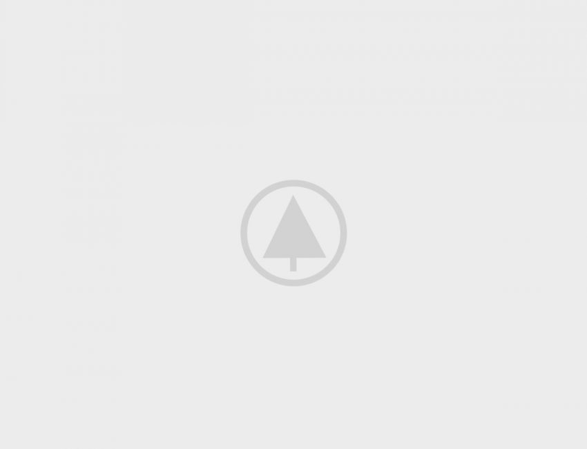 Wood-Portfolio-Placeholder Wood-Portfolio-Placeholder